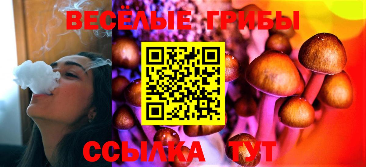 Магадан  Галлюциногенные грибы ЛСД  Вход с VPN 